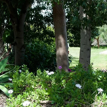 House, 6 People, Private Pool And Garden