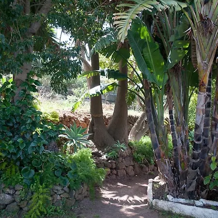 Сasa de vacaciones House, 6 People, Private Pool And Garden *