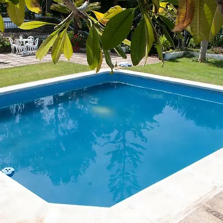 House, 6 People, Private Pool And Garden Tacoronte